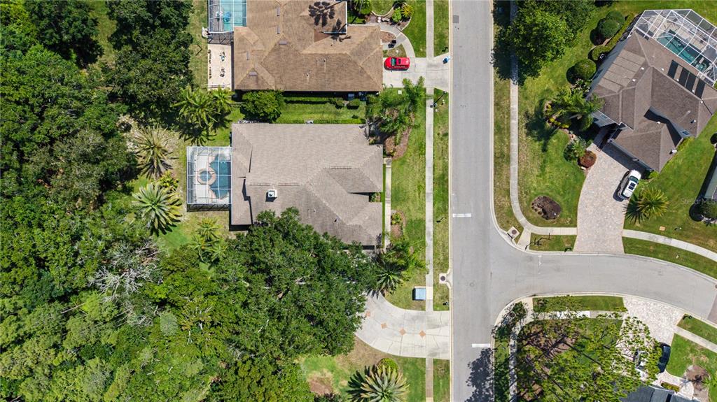 An aerial view shows suburban houses with swimming pools, driveways, and surrounding trees — 18615 CHEMILLE DRIVE, LUTZ, FL
