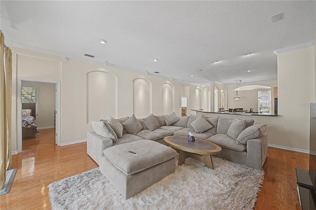 A living room features a large sectional sofa, a coffee table, and arched wall niches — 18615 CHEMILLE DRIVE, LUTZ, FL