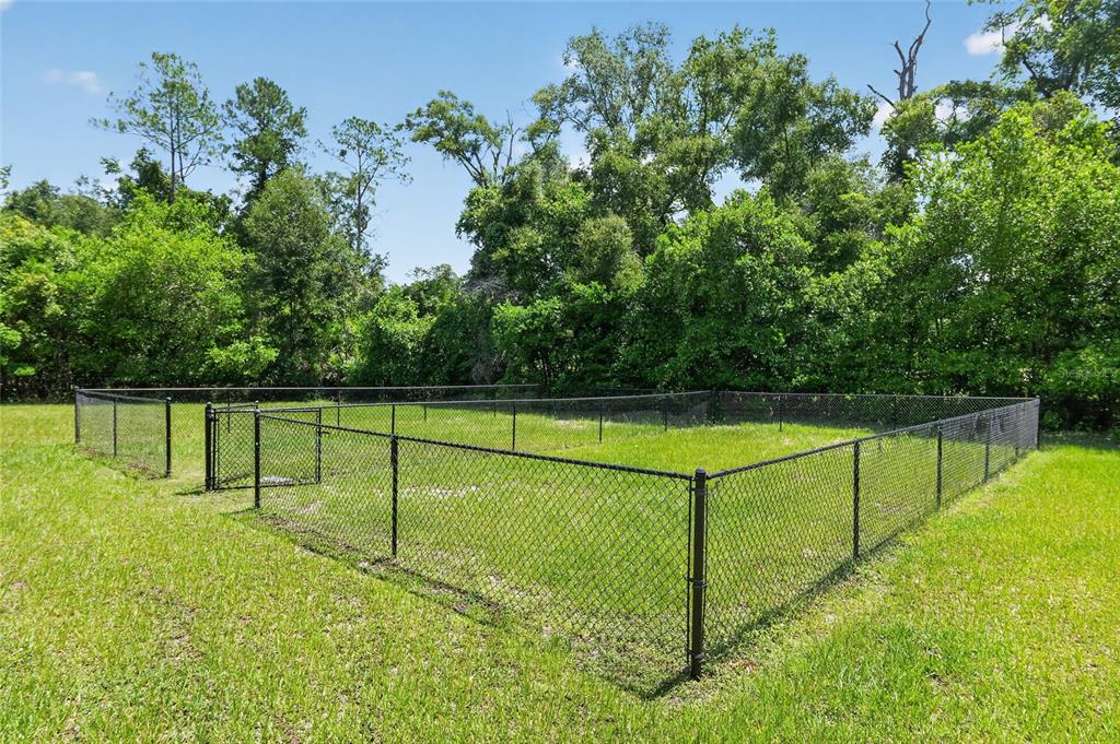 A fenced-in grassy yard is surrounded by dense trees under a clear blue sky — 20420 NW 243RD DRIVE, HIGH SPRINGS, FL