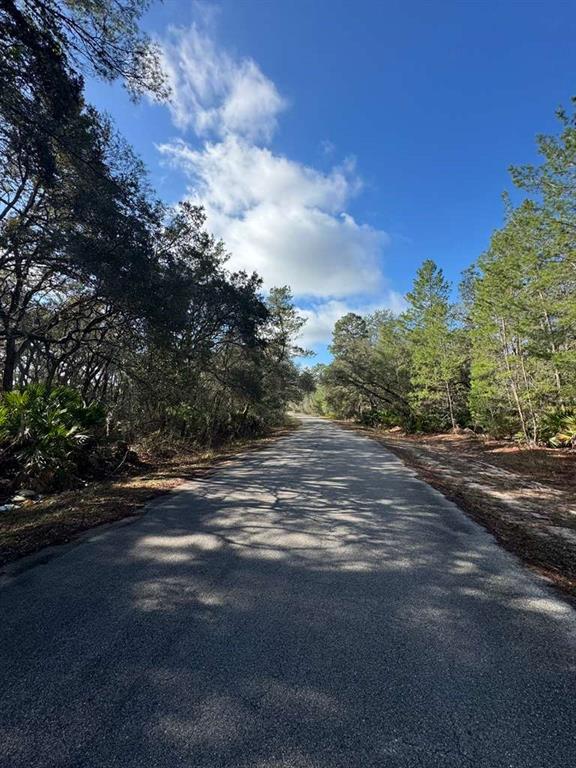 A paved road stretches through a wooded area under a blue sky with clouds — 21 FISHER TRAIL, OCKLAWAHA, FL