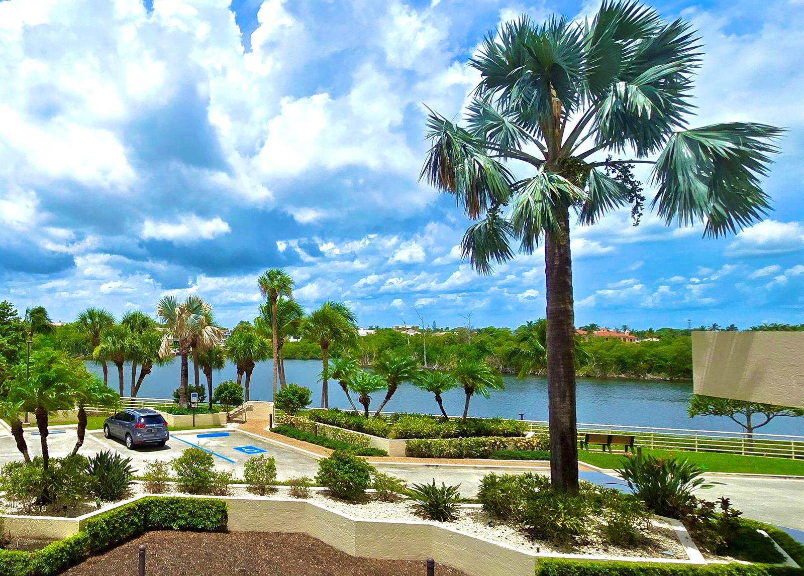 A parking lot with a palm tree overlooks a lake surrounded by lush green trees — 4101 N Ocean Boulevard # 207, Boca Raton FL 33431, BOCA RATON, FL