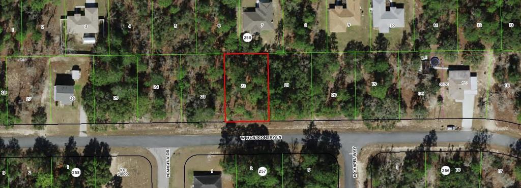This is an aerial map showing a vacant lot highlighted in red on a residential street — 3271 W MONTGOMERY LANE, CITRUS SPRINGS, FL