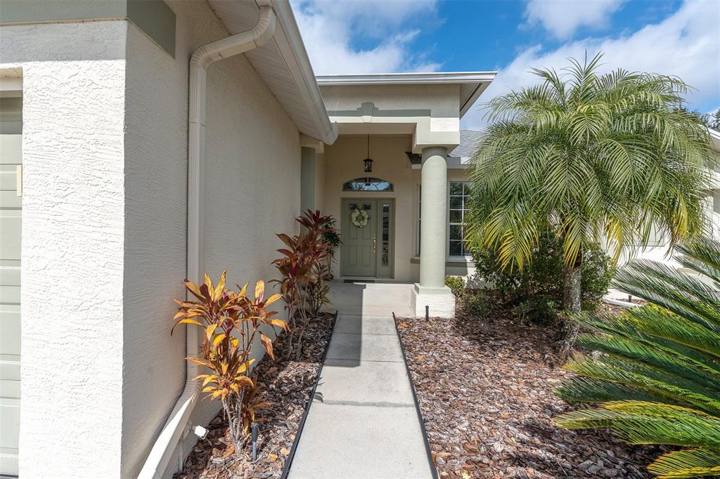 11429 HIDDEN COVE CT., TRINITY, FL — photo 3 of 30