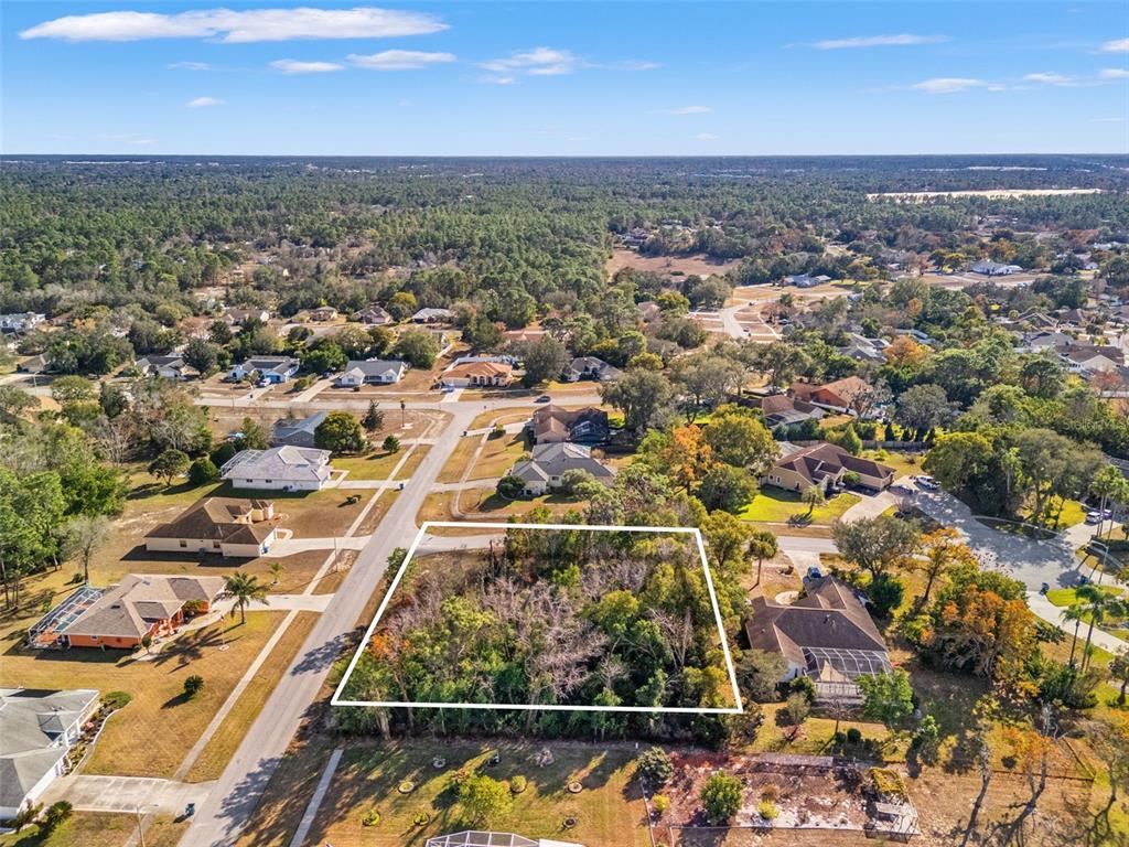An aerial view shows a vacant, wooded residential lot outlined in white in a neighborhood — SEBASTIAN DRIVE, SPRING HILL, FL