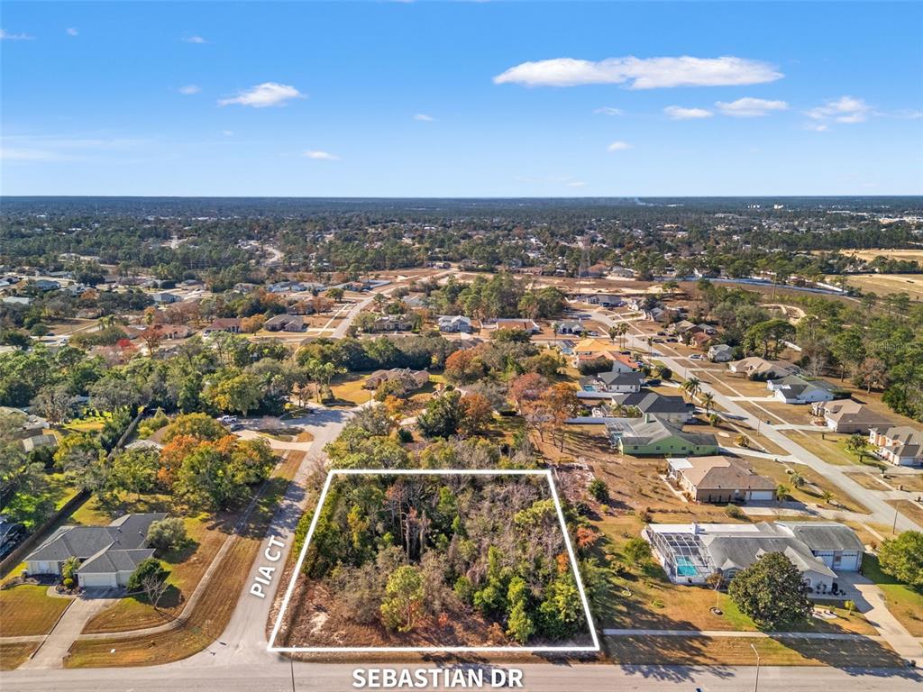 An aerial view shows a vacant, wooded residential lot bordered by two paved streets — SEBASTIAN DRIVE, SPRING HILL, FL
