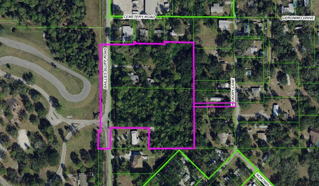 This is an aerial map showing a plot of land outlined in pink — 1204 BAILLIES BLUFF ROAD, HOLIDAY, FL