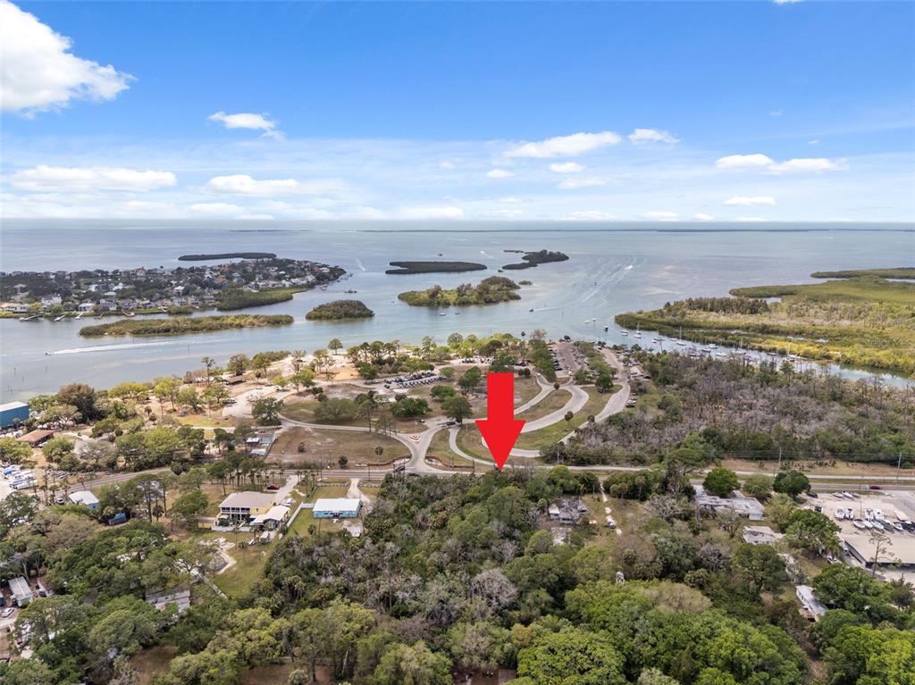 An aerial view shows a wooded lot marked by a red arrow near a waterway — 1204 BAILLIES BLUFF ROAD, HOLIDAY, FL