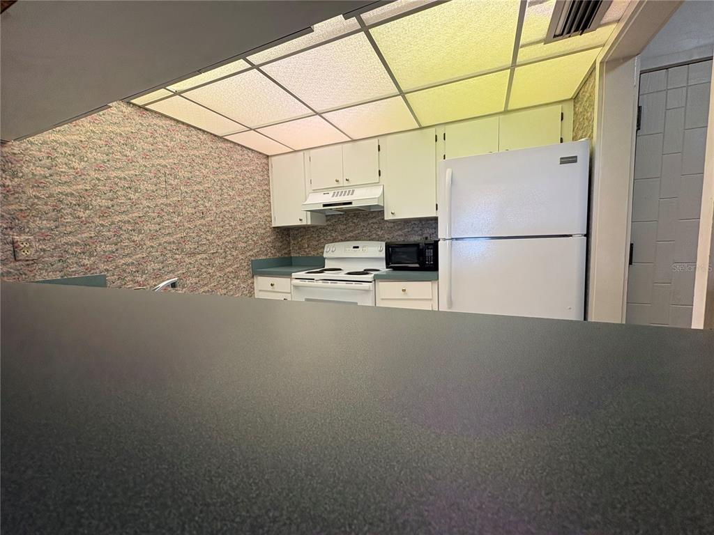 A kitchen features white cabinets, a white refrigerator, a stove, and floral wallpaper — 167 PALM VIEW COURT UNIT 3487, HAINES CITY, FL
