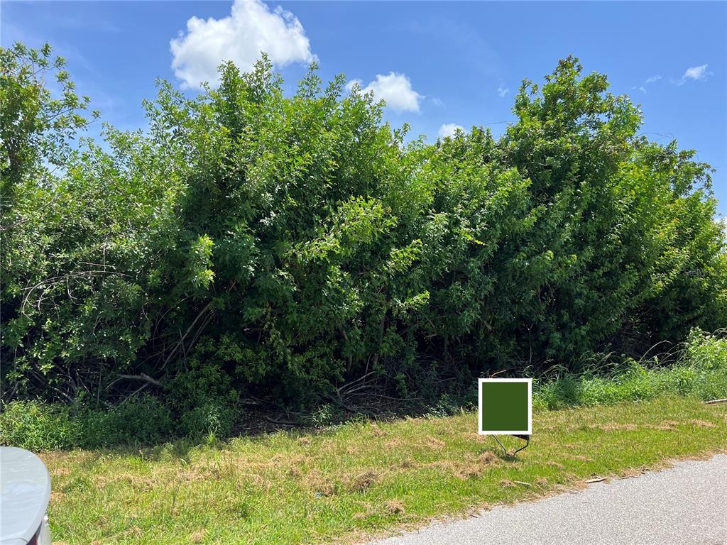 A dense thicket of green trees and shrubs borders a grassy roadside — 11082 CARNEGIE AVENUE, ENGLEWOOD, FL