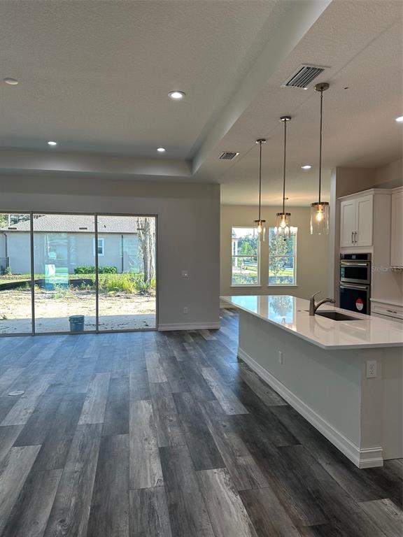 A kitchen with a white island, pendant lighting, and gray wood-look flooring overlooks a backyard — 19364 SHELTERED HILL DRIVE, BROOKSVILLE, FL