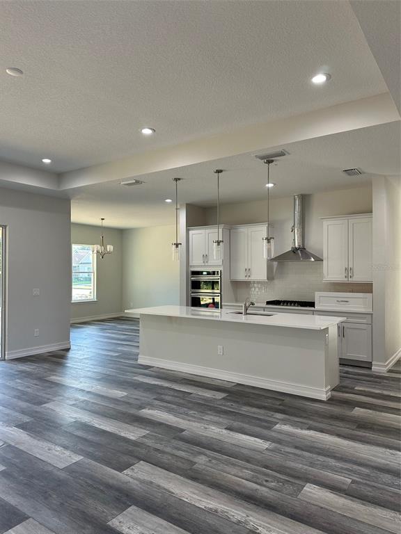 A modern kitchen features white cabinetry, a large island, and gray wood-look flooring — 19364 SHELTERED HILL DRIVE, BROOKSVILLE, FL