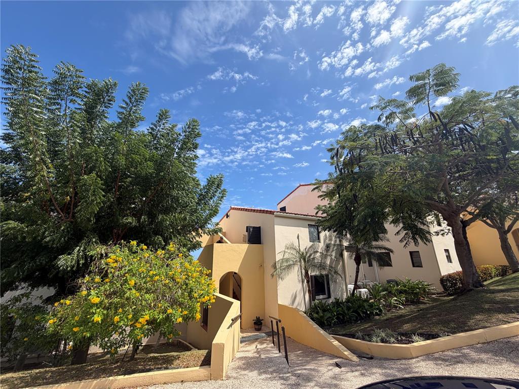 100 CANDELERO DRIVE