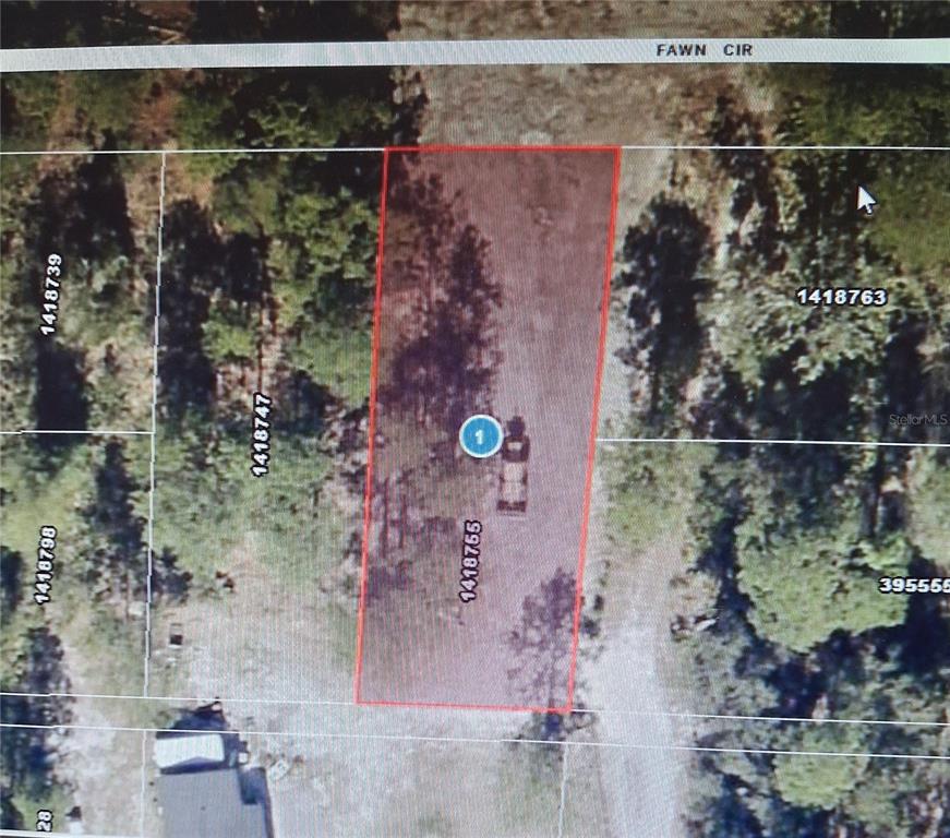 This is an aerial map view of a rectangular plot of land — PARK FOREST BOULEVARD, MOUNT DORA, FL