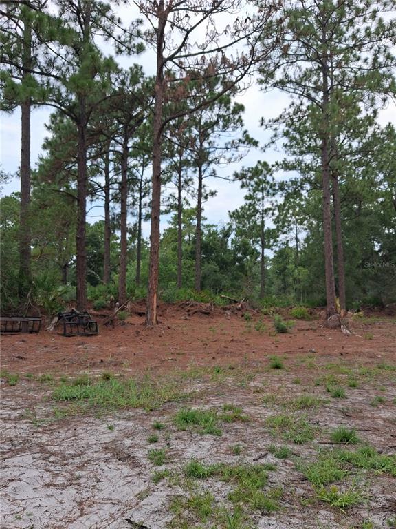 A cleared, sandy lot features scattered pine trees and a piece of heavy equipment — PARK FOREST BOULEVARD, MOUNT DORA, FL