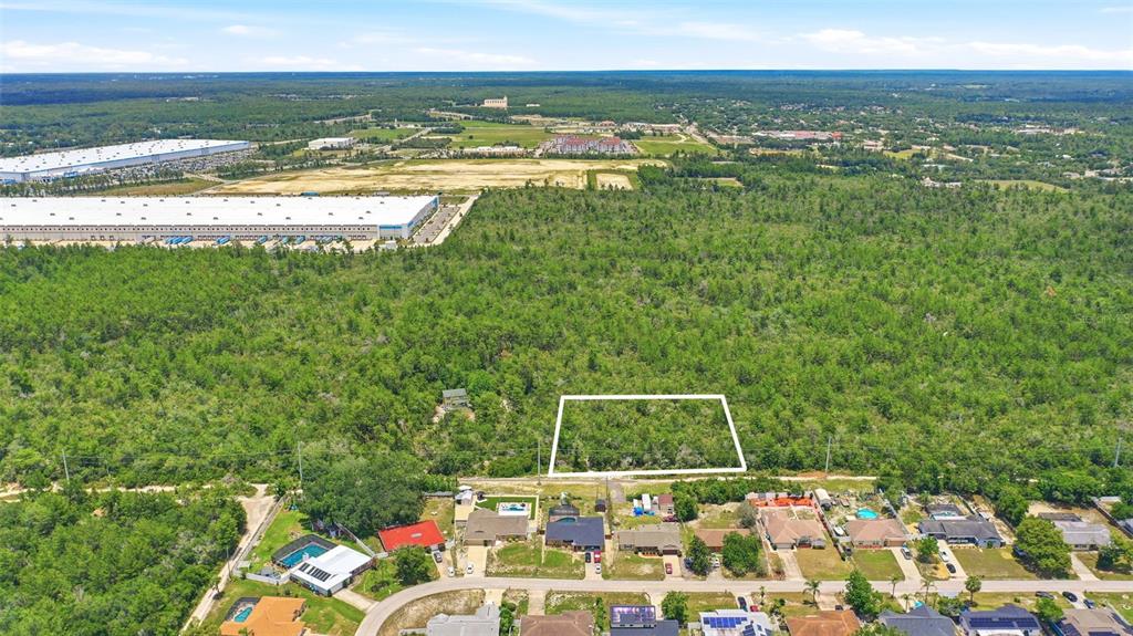 An aerial view shows a rectangular vacant lot outlined in white amidst a wooded area — SOUTH AVENUE, DELTONA, FL