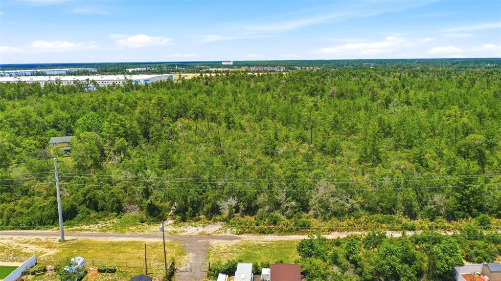 An aerial view shows a rectangular plot of land outlined in white behind residential houses — SOUTH AVENUE, DELTONA, FL
