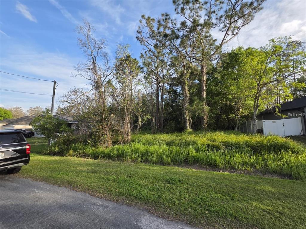 A vacant, grassy lot with mature trees is situated between two residential houses — CANNOCK DRIVE, KISSIMMEE, FL