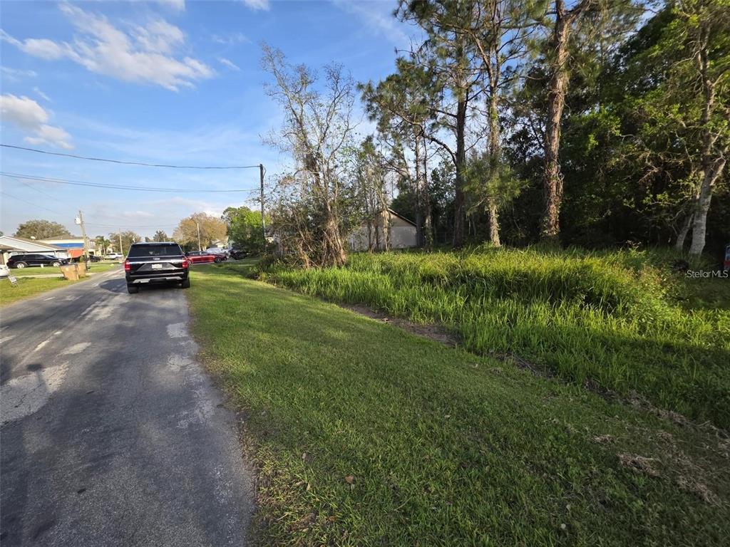 A view of a grassy roadside lot with trees and a parked SUV — CANNOCK DRIVE, KISSIMMEE, FL
