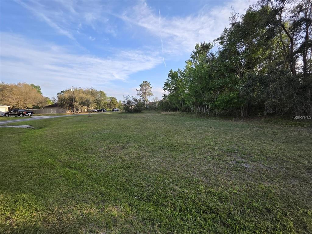 A grassy, vacant residential lot bordered by trees under a blue sky — CANNOCK DRIVE, KISSIMMEE, FL