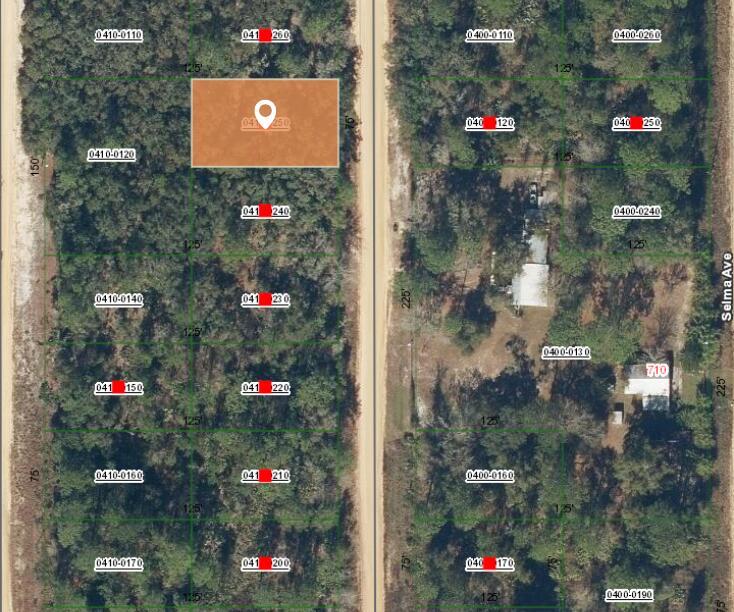 This is an aerial map view showing a highlighted rectangular land parcel among wooded lots — 006 Creager Avenue, FL 32148, FL