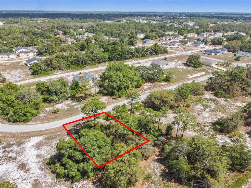 An aerial view shows a rectangular, wooded vacant lot outlined in red along a paved road — 1335 HILLSBOROUGH COURT, KISSIMMEE, FL