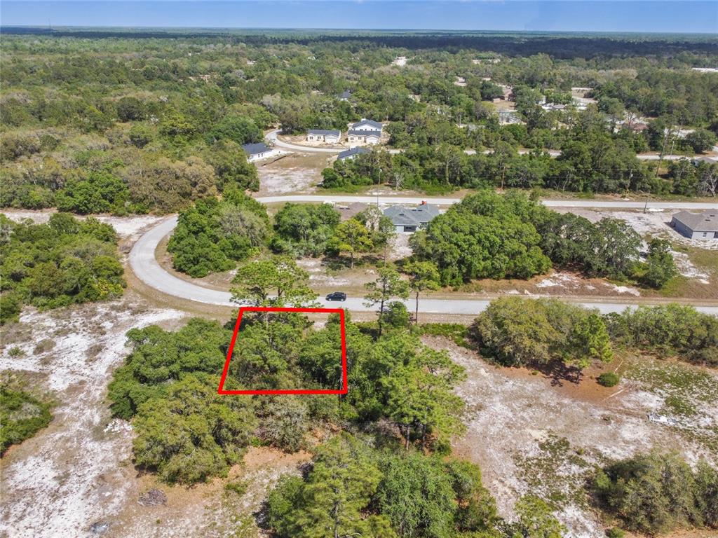 An aerial view shows a vacant, wooded residential lot outlined in red along a paved road — 1335 HILLSBOROUGH COURT, KISSIMMEE, FL