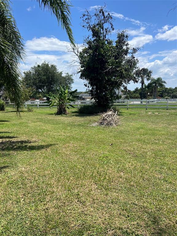 A grassy yard features a large tree, a banana plant, and a white fence — 915 HILLSIDE COURT S, WINTER HAVEN, FL