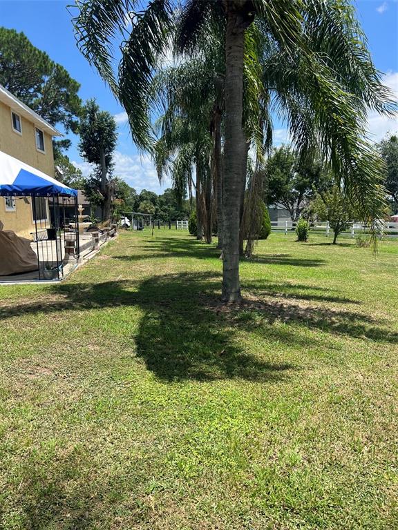 A row of palm trees stands in a grassy yard next to a house — 915 HILLSIDE COURT S, WINTER HAVEN, FL
