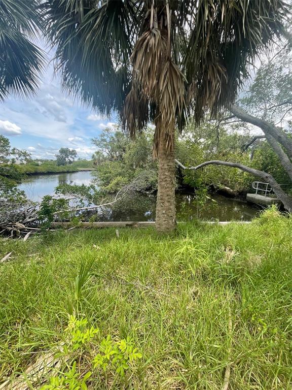A palm tree stands in a grassy yard overlooking a small, tree-lined canal — 190 MERES BOULEVARD, TARPON SPRINGS, FL
