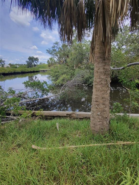 A palm tree stands in the foreground overlooking a calm canal with surrounding green vegetation — 190 MERES BOULEVARD, TARPON SPRINGS, FL