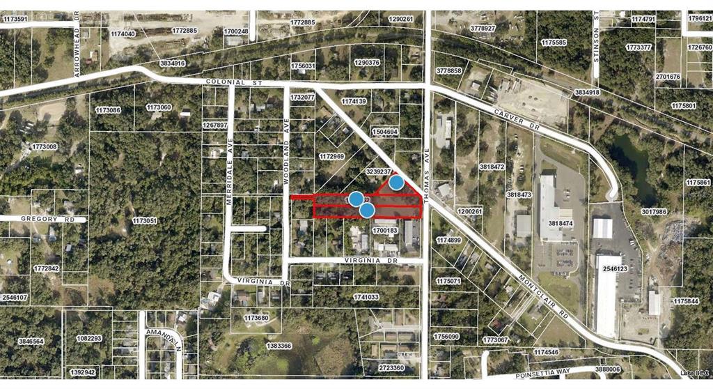 This is an aerial map showing a highlighted property parcel and surrounding streets — 2409 MONTCLAIR ROAD, LEESBURG, FL