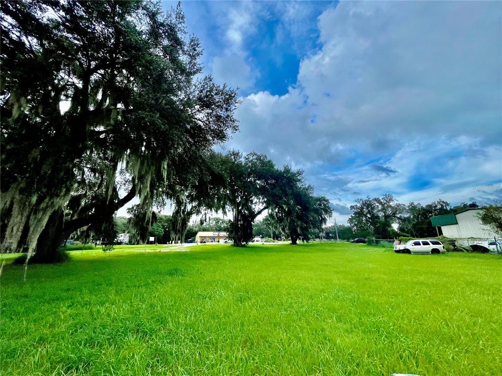 A large, grassy lot features several mature oak trees draped with Spanish moss — 2409 MONTCLAIR ROAD, LEESBURG, FL