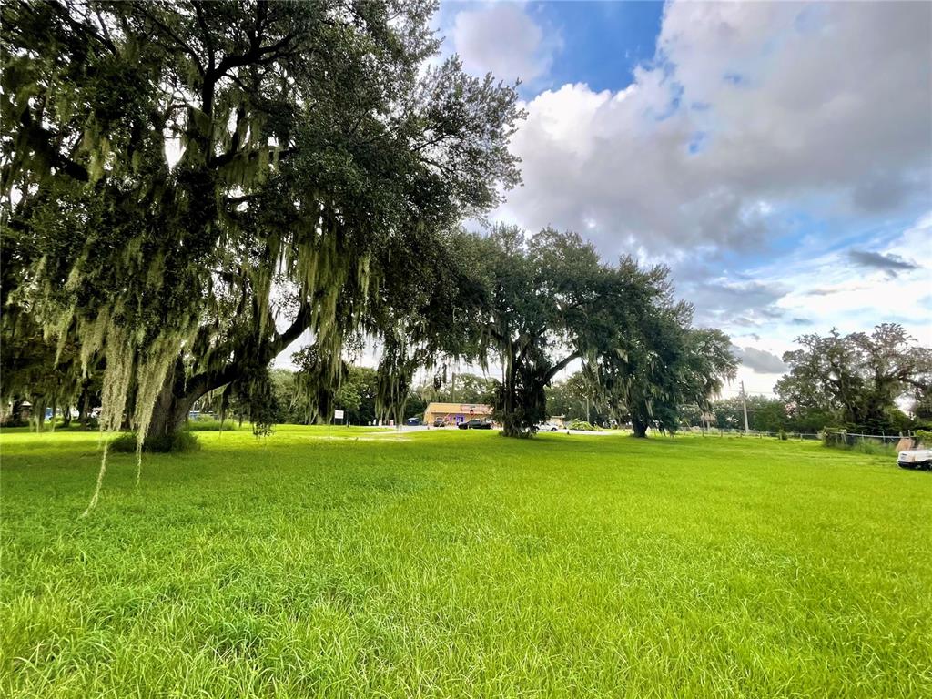 A large, grassy field features several mature oak trees draped with Spanish moss — 2409 MONTCLAIR ROAD, LEESBURG, FL