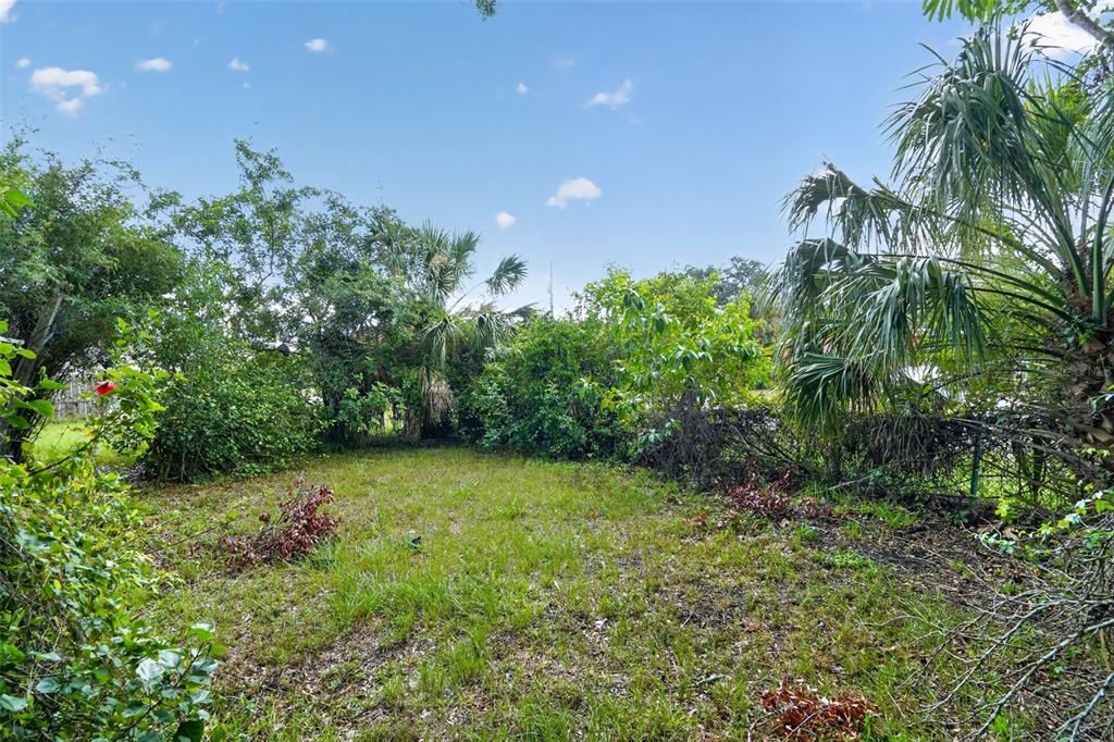 A grassy, overgrown lot is surrounded by dense trees and shrubs under a blue sky — 509 DOMINO DRIVE N, RUSKIN, FL