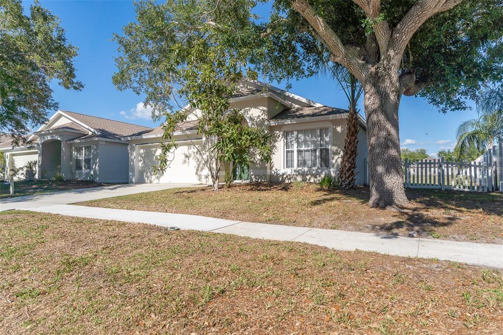 A single-story suburban house with a beige exterior, a two-car garage, and a large tree — 12907 EARLY RUN LANE, RIVERVIEW, FL