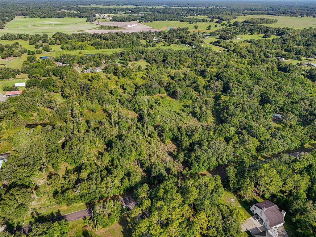 An aerial view shows a wooded lot with a house in the lower right corner — 5900 N DORMANY ROAD, PLANT CITY, FL