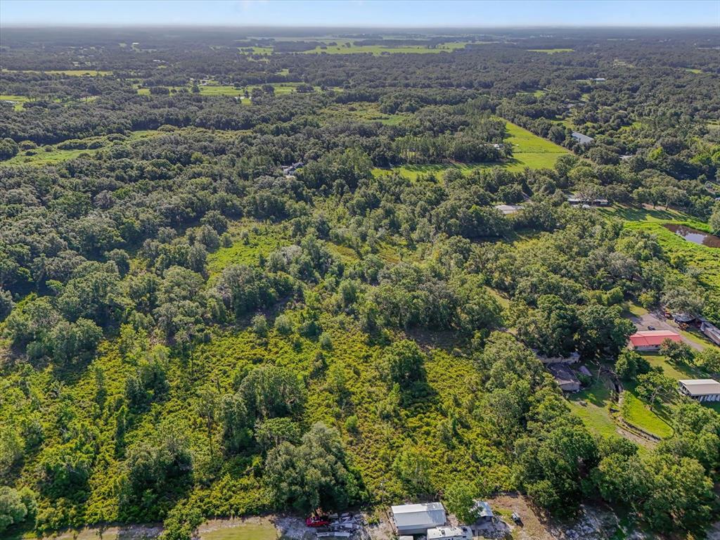 An aerial view shows a large, wooded lot with scattered houses and open green spaces — 5900 N DORMANY ROAD, PLANT CITY, FL
