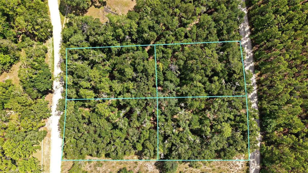 An aerial view shows four adjacent wooded lots outlined in blue between two dirt roads — NW 50TH TERRACE, BELL, FL
