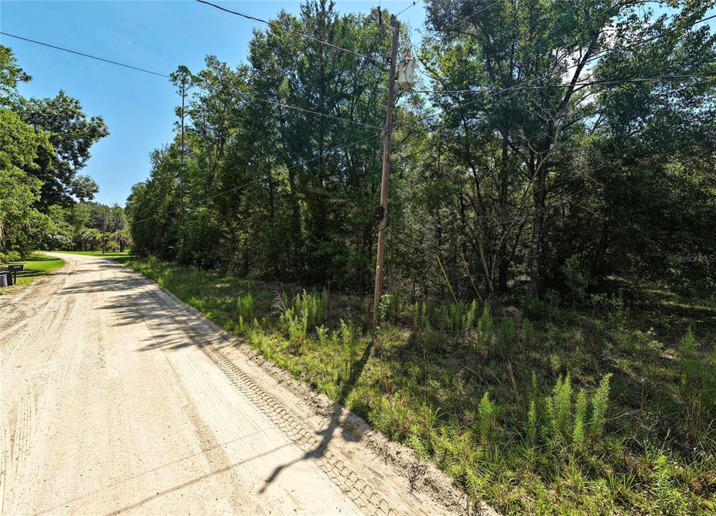 A dirt road runs alongside a wooded lot with a utility pole in the foreground — NW 50TH TERRACE, BELL, FL