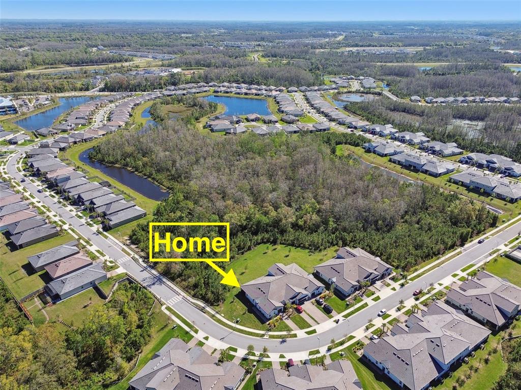 An aerial view shows a residential house situated on a corner lot near a forest — 16710 SHELL BAY DRIVE, LAND O LAKES, FL