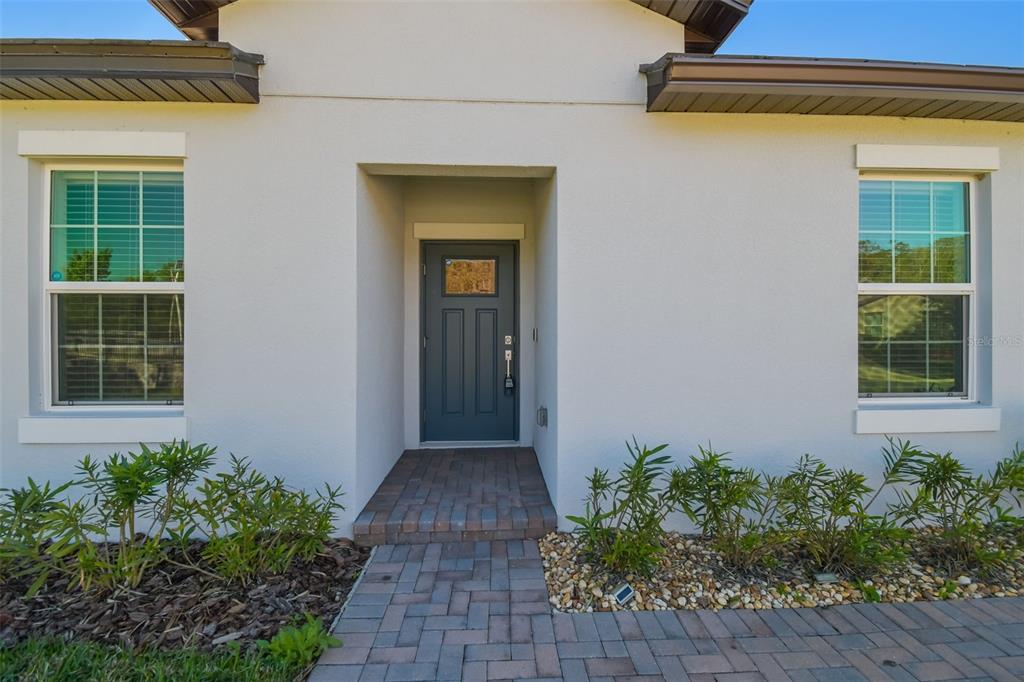 The exterior of a house features a gray front door, two windows, and paved walkway — 16710 SHELL BAY DRIVE, LAND O LAKES, FL