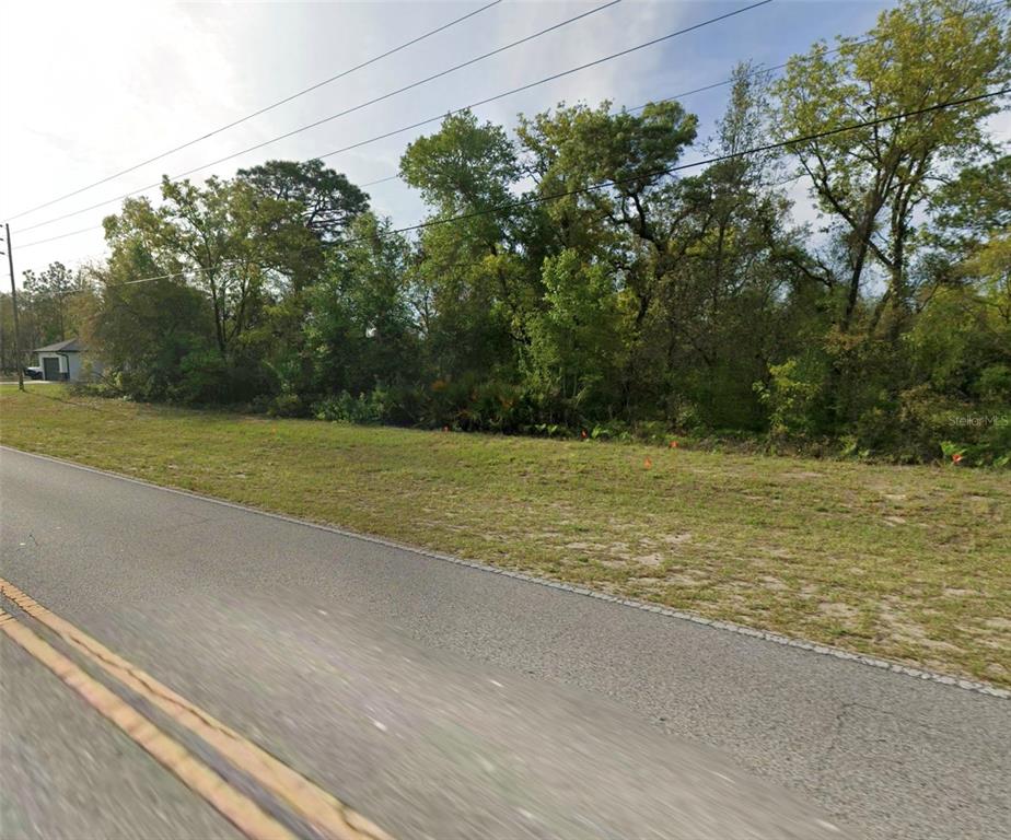 A paved road runs alongside a grassy, undeveloped lot bordered by a line of trees — 2488 W CITRUS SPRINGS BOULEVARD, CITRUS SPRINGS, FL