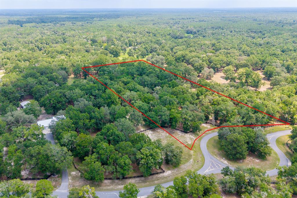 An aerial view shows a wooded plot of land outlined in red near a road — 4316 NE 27TH LANE, HIGH SPRINGS, FL
