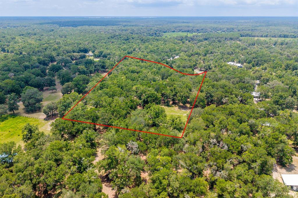 An aerial view shows a wooded plot of land outlined in red — 4316 NE 27TH LANE, HIGH SPRINGS, FL