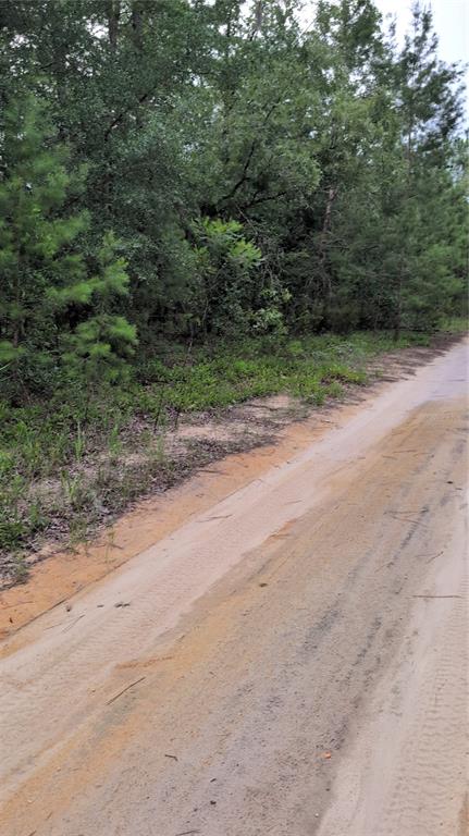 PINEWAY DRIVE