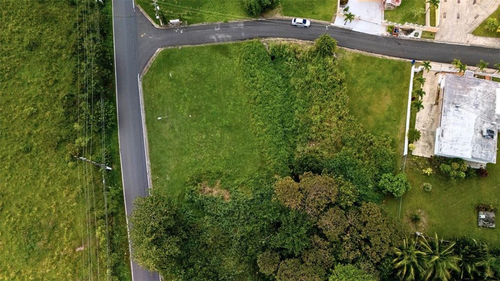 An aerial view shows a grassy, partially wooded vacant lot bordered by two paved roads — BO CEIBA SUR BRISAS DEL PEDREGAL SOLAR #1, JUNCOS, PR