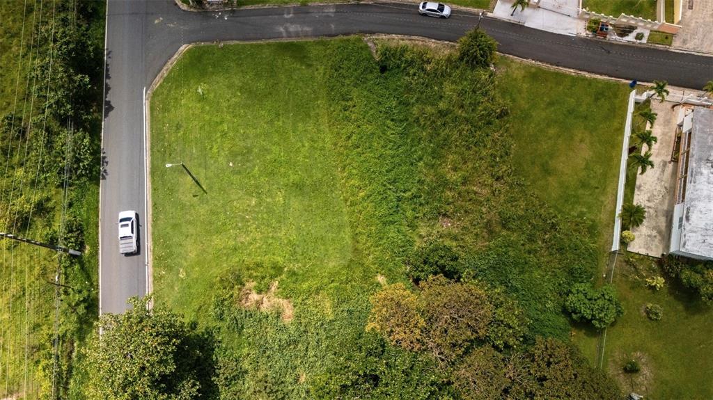 An aerial view shows a vacant corner lot with grass and trees next to a road — BO CEIBA SUR BRISAS DEL PEDREGAL SOLAR #1, JUNCOS, PR