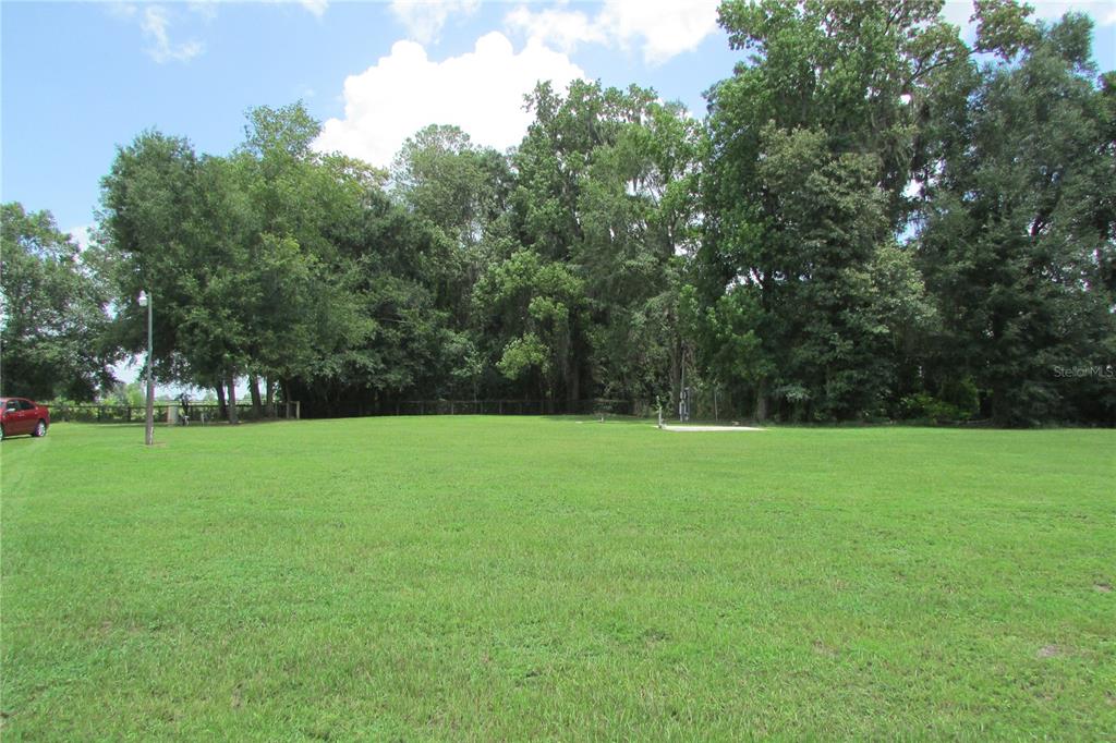 A large, flat, grassy yard is bordered by a dense line of mature trees — 10455 NW GAINESVILLE ROAD, OCALA, FL