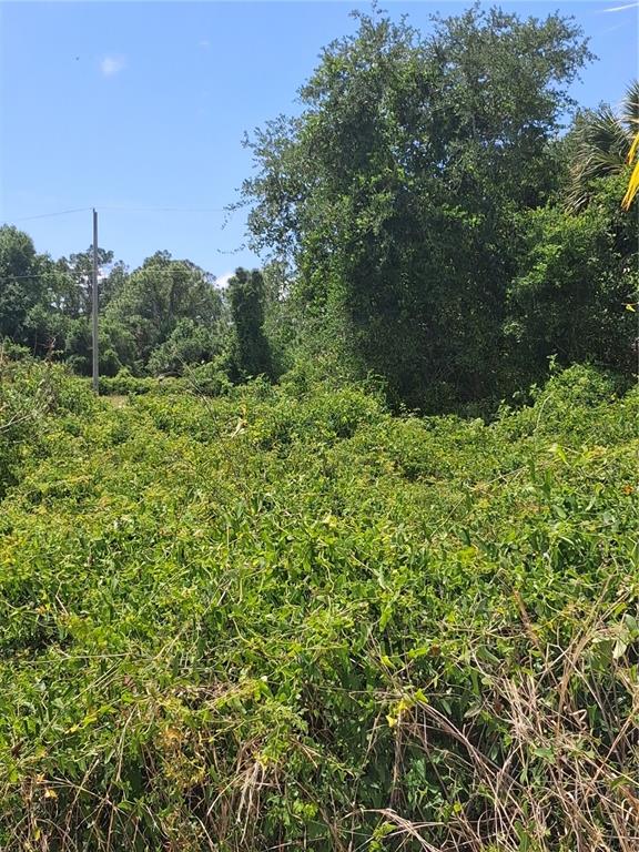 A dense, overgrown lot filled with green vegetation and trees under a blue sky — N HOLLOWAY AVENUE, NORTH PORT, FL