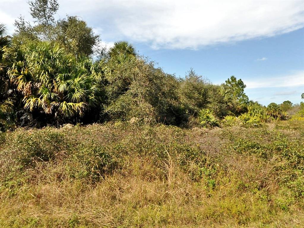 A view of a vacant, overgrown lot with dense trees and shrubs under a blue sky — N HOLLOWAY AVENUE, NORTH PORT, FL